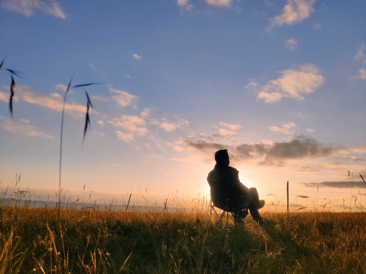 你不是无法专注,而是被短视频腐化了大脑诺亚书房_每天一篇深度长文,帮你升级思维与认知!诺亚书房官网_每天一篇深度长文,帮你升级思维与认知!