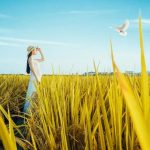 白天模范夫妻,晚上各找安慰诺亚书房_每天一篇深度长文,帮你升级思维与认知!诺亚书房官网_每天一篇深度长文,帮你升级思维与认知!