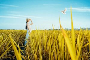 白天模范夫妻,晚上各找安慰诺亚书房_每天一篇深度长文,帮你升级思维与认知!诺亚书房官网_每天一篇深度长文,帮你升级思维与认知!