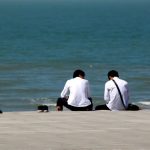 廉价的随叫随到，或高贵的屹立不倒诺亚书房_每天一篇深度长文，帮你升级思维与认知！诺亚书房官网_每天一篇深度长文，帮你升级思维与认知！