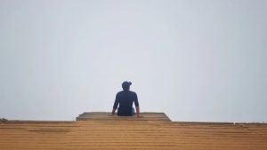 就教孩子三件事:要东西、敢拒绝、会转弯诺亚书房_每天一篇深度长文,帮你升级思维与认知!诺亚书房官网_每天一篇深度长文,帮你升级思维与认知!