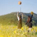 人一旦开始心狠，就是开挂的开始诺亚书房_每天一篇深度长文，帮你升级思维与认知！诺亚书房官网_每天一篇深度长文，帮你升级思维与认知！