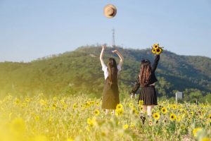 这就是别人喜欢打压你的原因诺亚书房_每天一篇深度长文，帮你升级思维与认知！诺亚书房官网_每天一篇深度长文，帮你升级思维与认知！