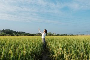 认知配不上财富,是人生最大悲剧诺亚书房_每天一篇深度长文,帮你升级思维与认知!诺亚书房官网_每天一篇深度长文,帮你升级思维与认知!