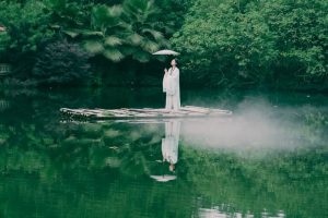 所有欺负你的人,都在赌.诺亚书房_每天一篇深度长文,帮你升级思维与认知!诺亚书房官网_每天一篇深度长文,帮你升级思维与认知!