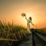 你拼命想成长其实是一种心理强迫诺亚书房_每天一篇深度长文，帮你升级思维与认知！诺亚书房官网_每天一篇深度长文，帮你升级思维与认知！