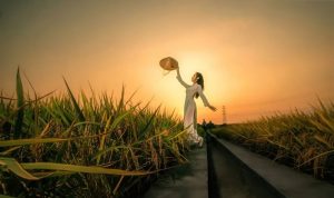 你拼命想成长其实是一种心理强迫诺亚书房_每天一篇深度长文，帮你升级思维与认知！诺亚书房官网_每天一篇深度长文，帮你升级思维与认知！